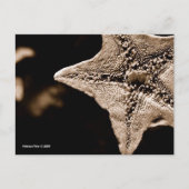 MTV 7 POSTKARTE (Vorderseite)