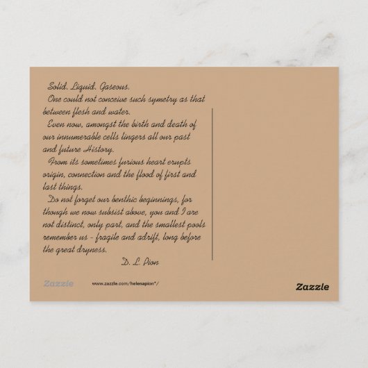 MTV 8 POSTKARTE (Rückseite)