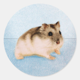 Mu Mu, der Hamster Runder Aufkleber
