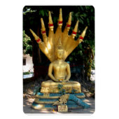 Mucalinda Magnet (Vertikal)