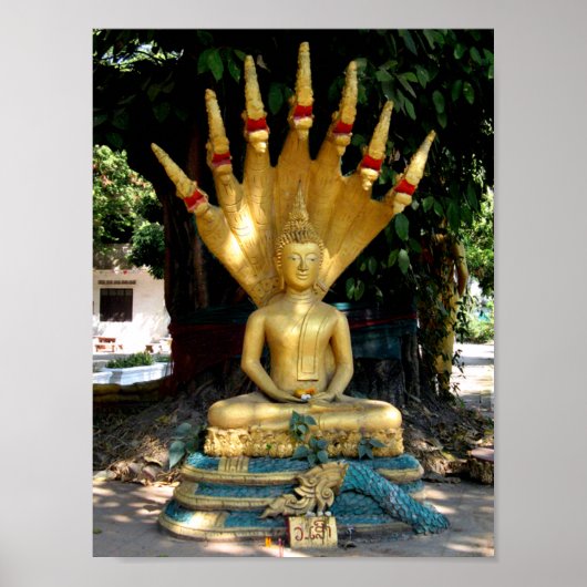 Mucalinda Poster (Vorne)