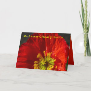 Muchísimas Gracias y Besitos Dankeskarte