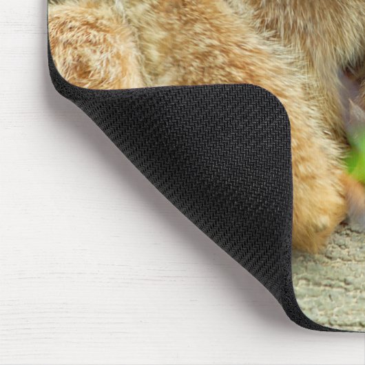 Mückenfamilie - Mousepad (Ecke)