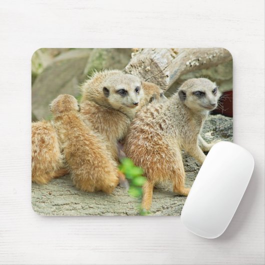 Mückenfamilie - Mousepad (Mit Mouse)