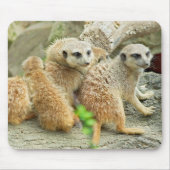 Mückenfamilie - Mousepad (Vorne)