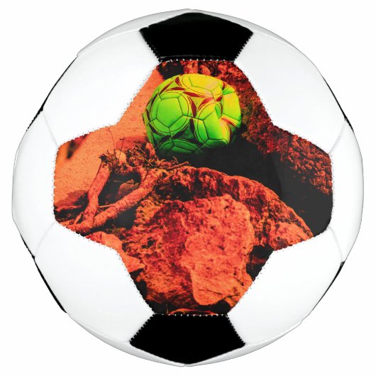 Mückenforscherin Fußball (Vorderseite)