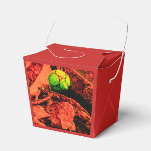 Mückenforscherin Geschenkschachtel