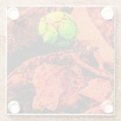 Mückenforscherin Glasuntersetzer (Rückseite)