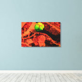 Mückenforscherin Leinwanddruck (Insitu (Holzboden))