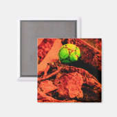 Mückenforscherin Magnet (Vorderseite/Rückseite)