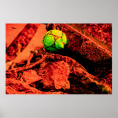 Mückenforscherin Poster (Vorne)