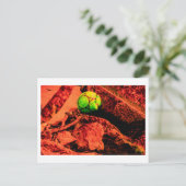 Mückenforscherin Postkarte (Stehend Vorderseite)