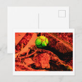 Mückenforscherin Postkarte (Vorne/Hinten)