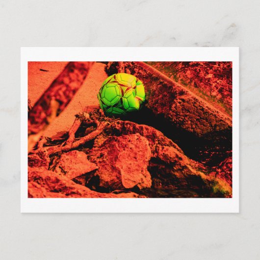 Mückenforscherin Postkarte (Vorderseite)