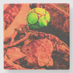 Mückenforscherin Steinuntersetzer