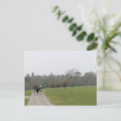 Muckross Haus, Killarney Irland Postkarte (Stehend Vorderseite)