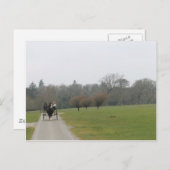 Muckross Haus, Killarney Irland Postkarte (Vorne/Hinten)