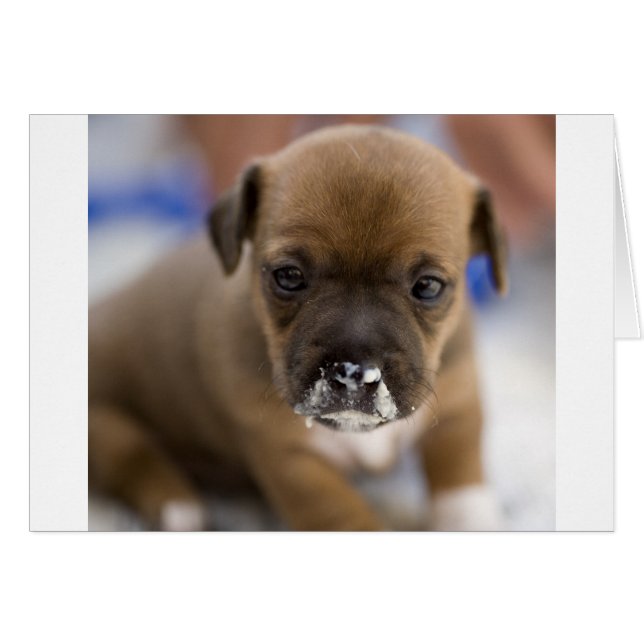 Mucky Puppy (Vorderseite (Horizontal))