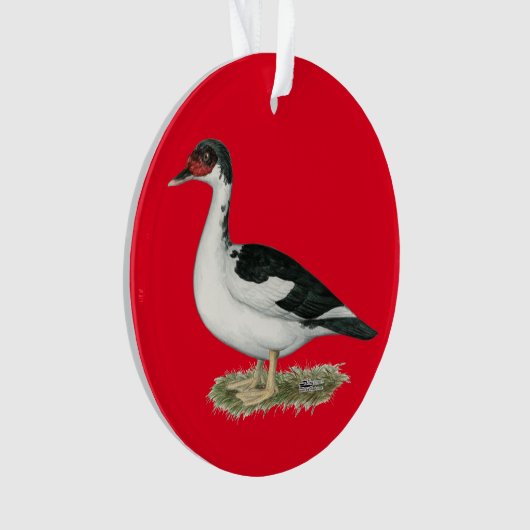 Mucovy Black Pied Duck Ornament (Vorderseite)