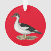 Mucovy Black Pied Duck Ornament (Vorderseite)
