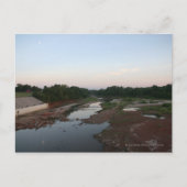 Mud Flats Postkarte (Vorderseite)