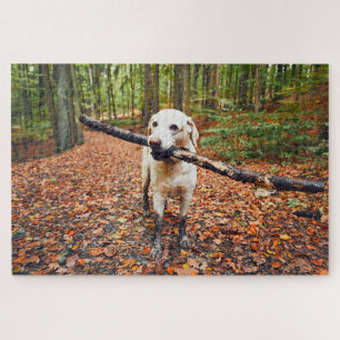 Muddy Dog im Herbst Puzzle
