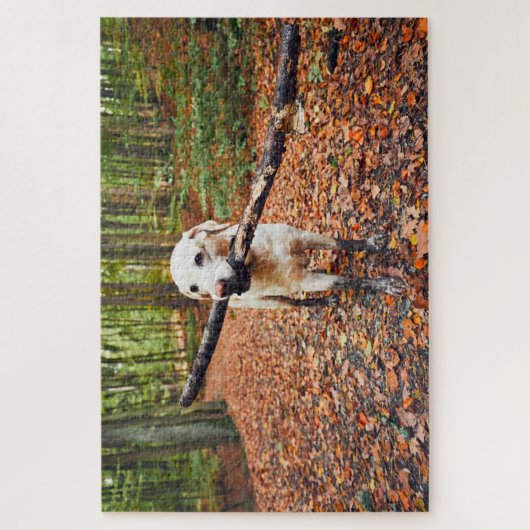 Muddy Dog im Herbst Puzzle (Vertikal)