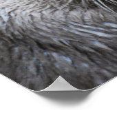 Muddy Otter Poster (Ecke)