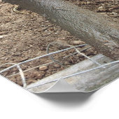 Muddy Pig Poster Funny (Ecke)