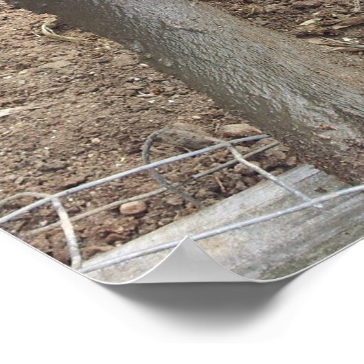 Muddy Pig Poster Funny (Ecke)