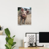 Muddy Pig Poster Funny (Heimbüro)