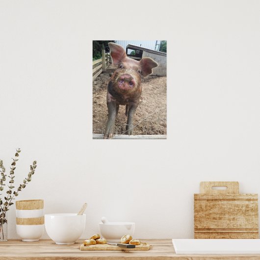 Muddy Pig Poster Funny (Küche)