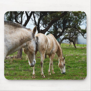 Muddy White Horses, Mousepad