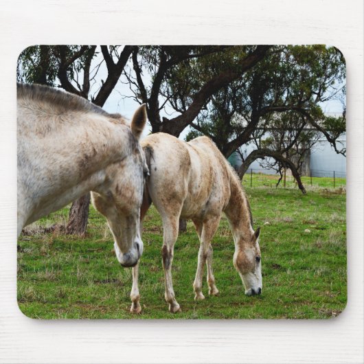 Muddy White Horses, Mousepad (Vorne)