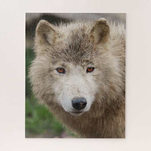 Muddy White Wolf Puzzle (Vertikal)