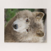 Muddy White Wolf Puzzle (Horizontal)