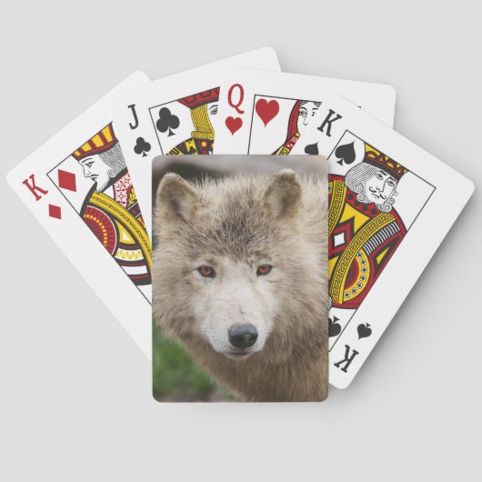Muddy White Wolf Spielkarten (Rückseite)