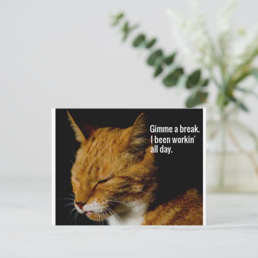 Müde Katzen Design - "Gimme eine Pause." Postkarte (Stehend Vorderseite)