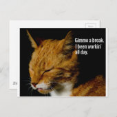 Müde Katzen Design - "Gimme eine Pause." Postkarte (Vorne/Hinten)