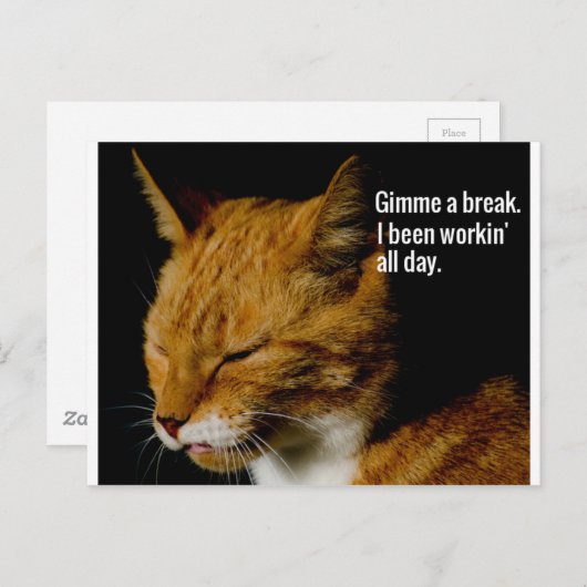 Müde Katzen Design - "Gimme eine Pause." Postkarte (Vorne/Hinten)