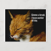 Müde Katzen Design - "Gimme eine Pause." Postkarte (Vorderseite)