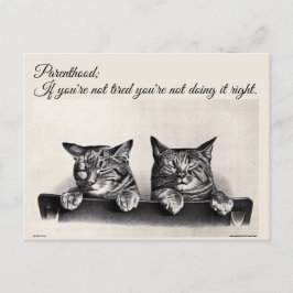 Müde und Eltern zu sein, schlaflose Katzen Postkarte