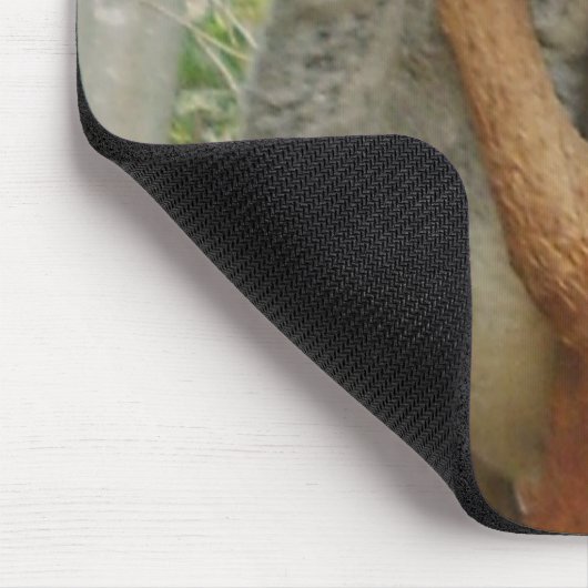 Müder Koala Mousepad (Ecke)