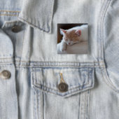 Müdes beige und weißes Kätzchen Button (Beispiel)