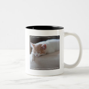 Müdes beige und weißes Kätzchen Zweifarbige Tasse