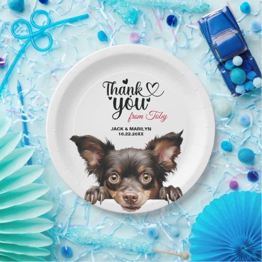 Mudi Dog Pappteller (Party)