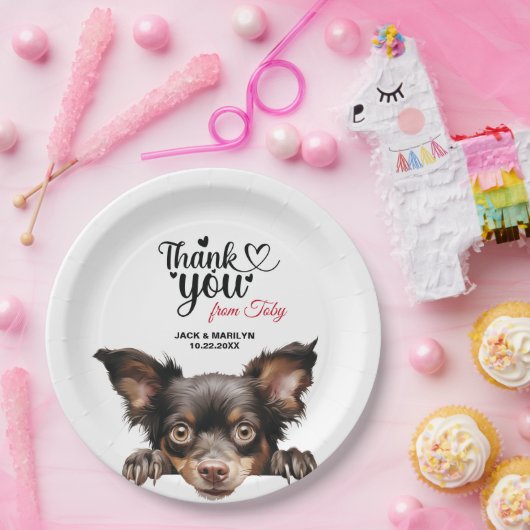 Mudi Dog Pappteller (Party)