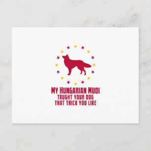 Mudi Postkarte