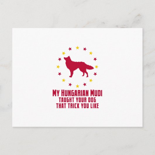 Mudi Postkarte (Vorderseite)