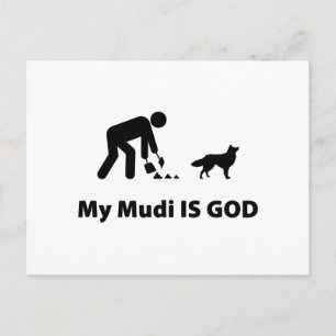 Mudi Postkarte